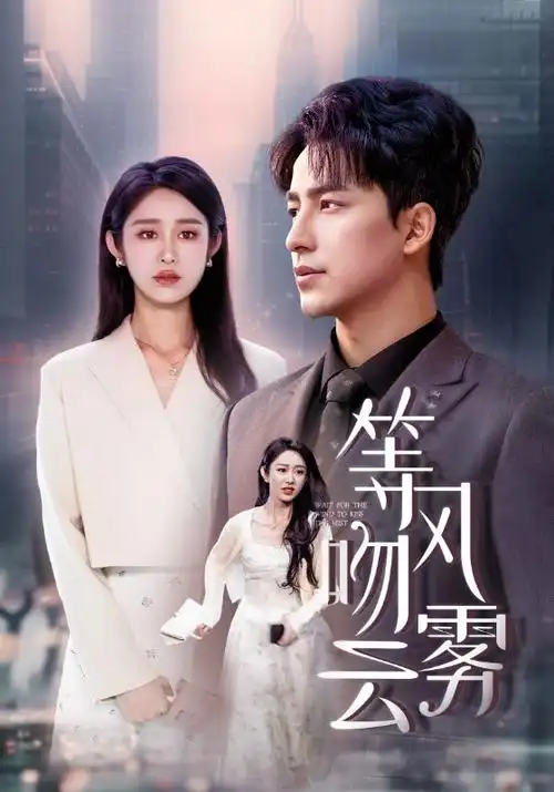 琅琊榜 无人高清电影电视剧在线观看